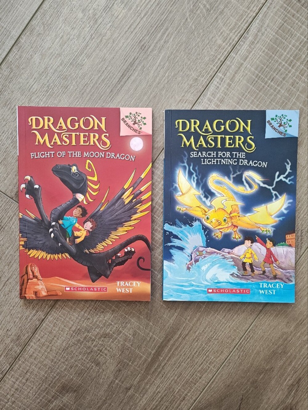 Dragon Masters Books 6 & 7